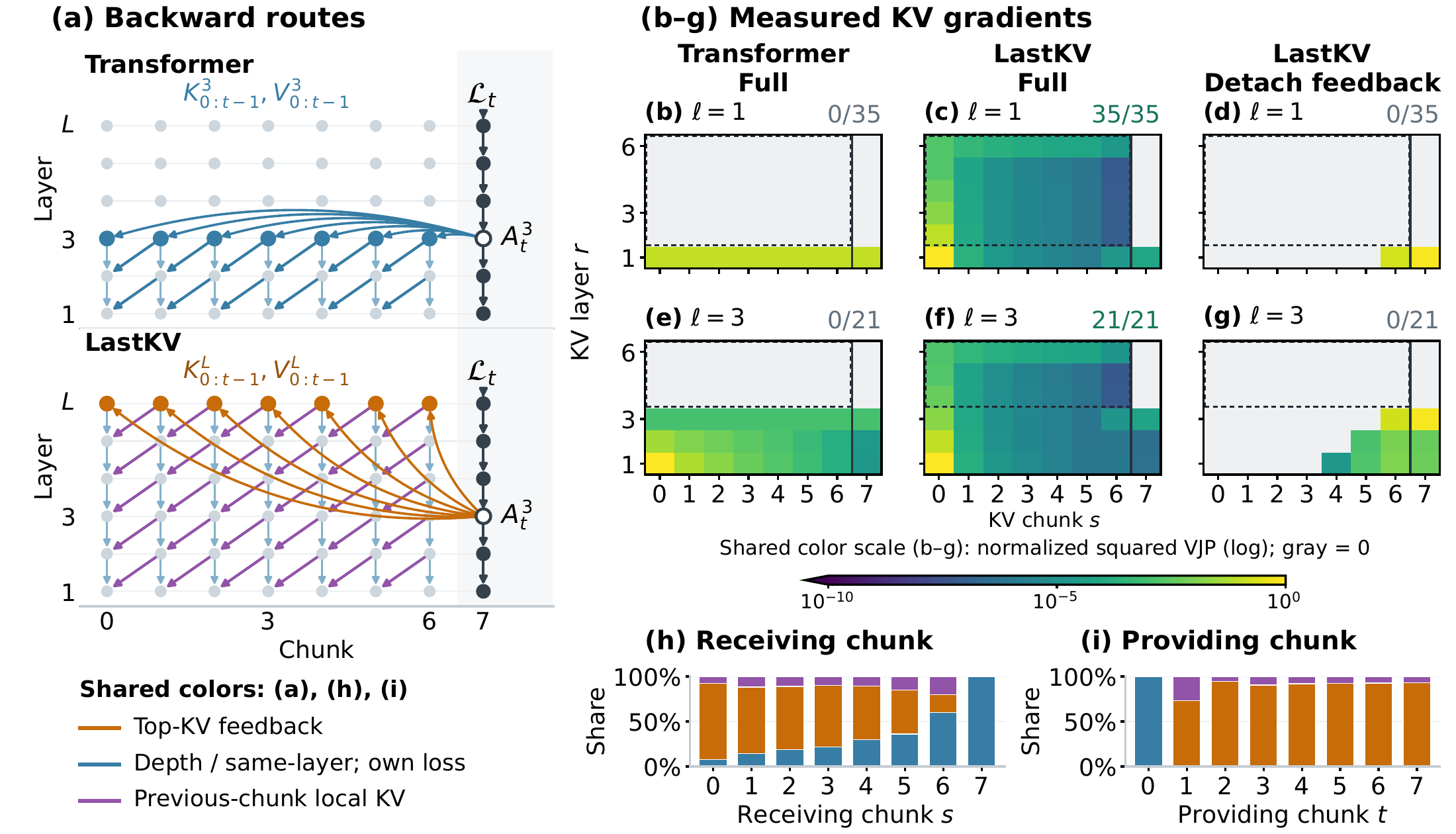 Gradient paths and probes show how LastKV feedback connects future computation to deeper historical states.
