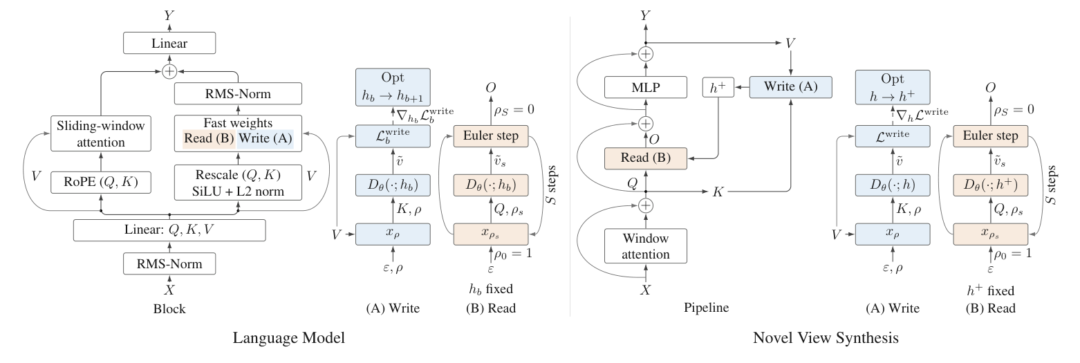 TTG language-model and novel-view-synthesis interfaces, with noisy writes and frozen-state reads