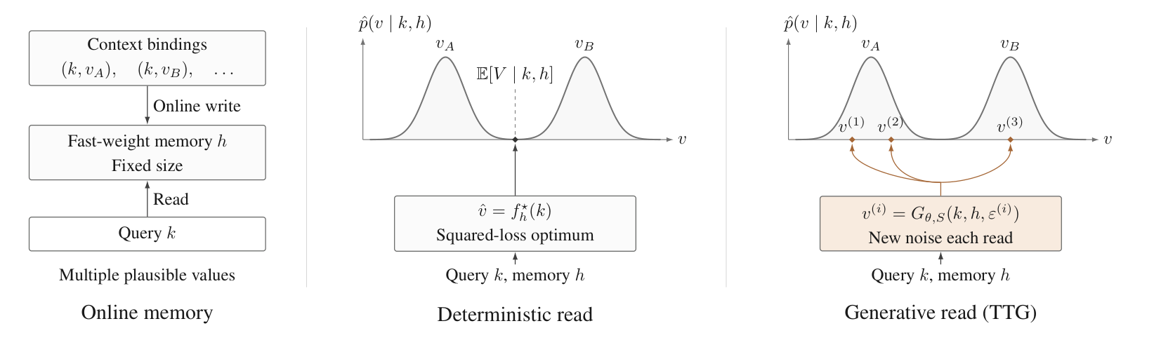 A fixed-size online memory read by a deterministic mean readout and by TTG's fresh-noise generative readout